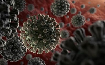 How to maintain your business through the Coronavirus