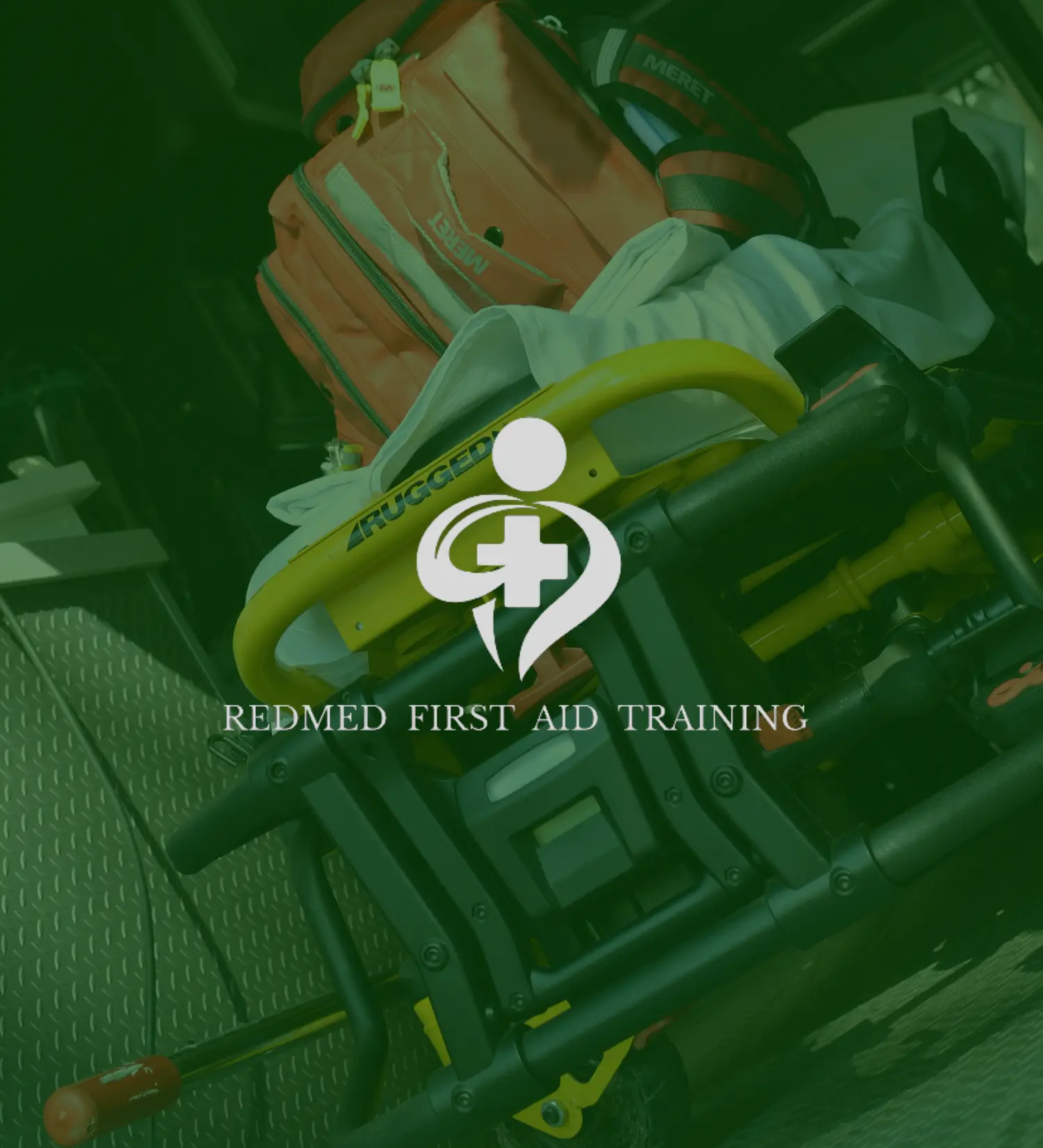 Dog from Cavendish Canines