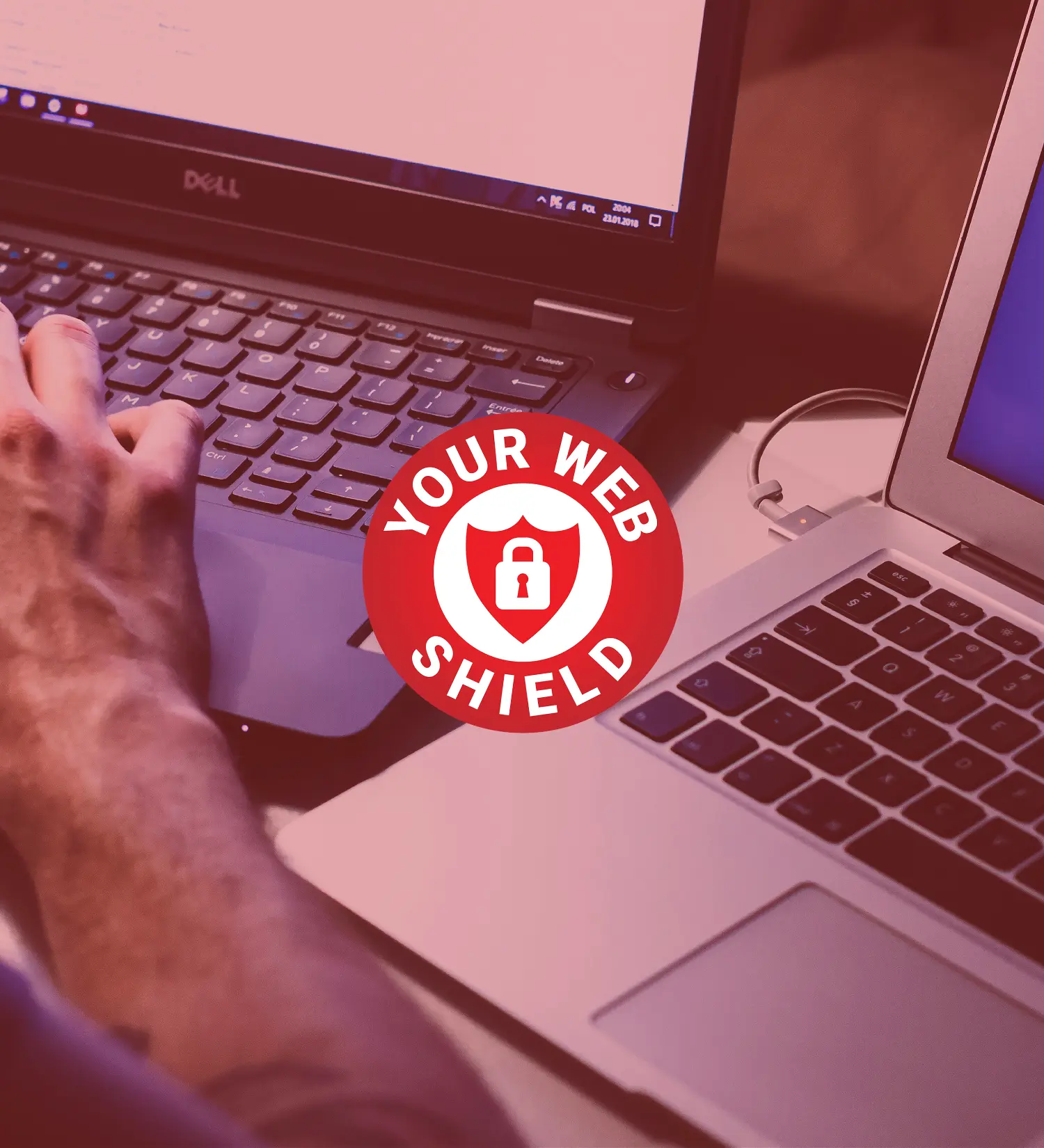 Dog from Cavendish Canines