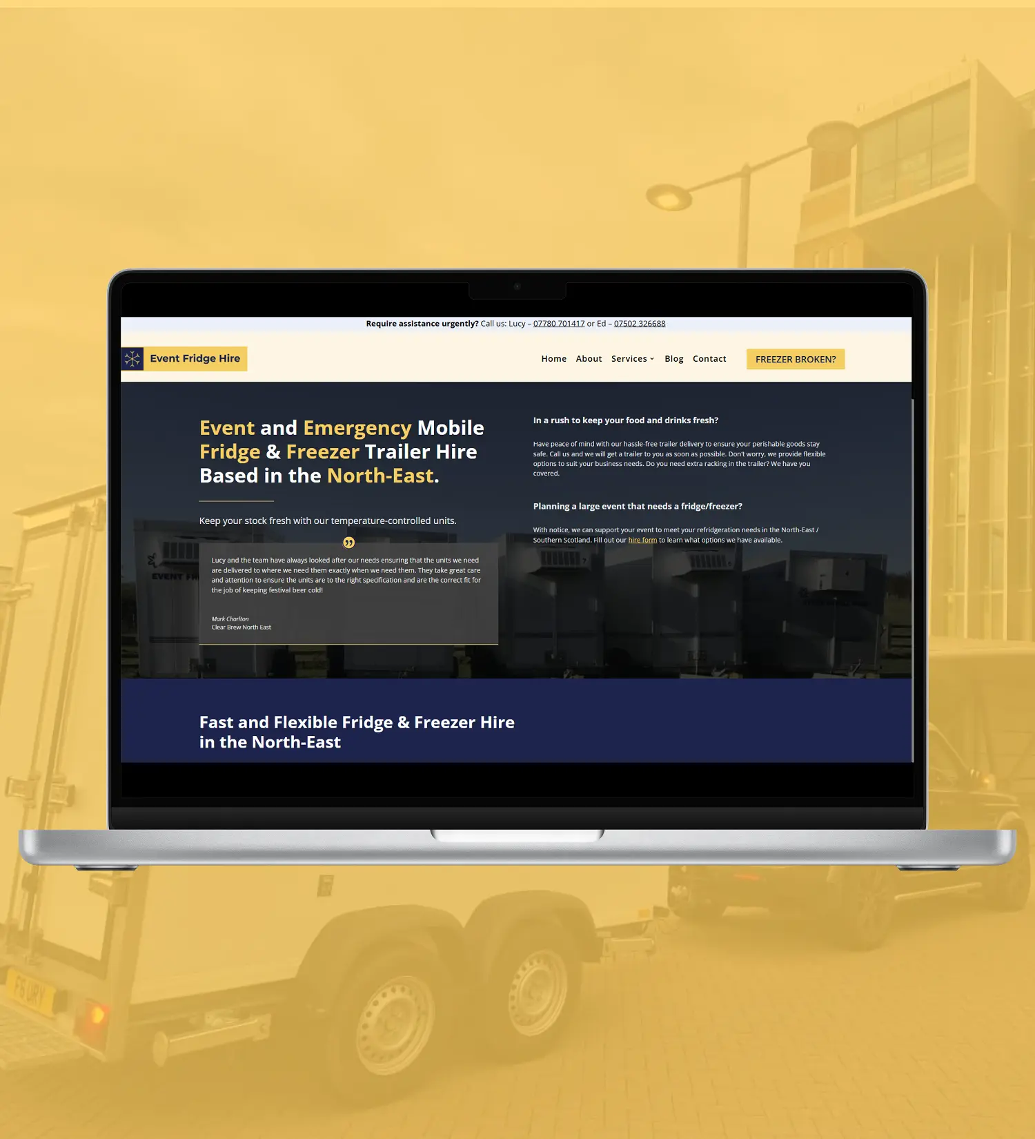 Dog from Cavendish Canines